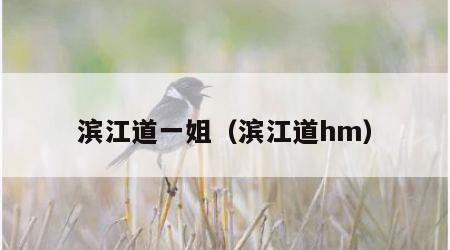 滨江道一姐（滨江道hm）