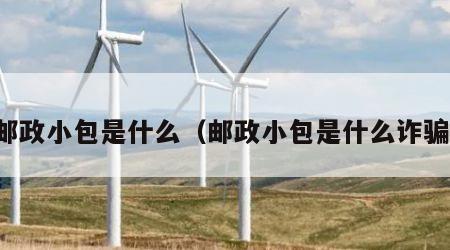 邮政小包是什么（邮政小包是什么诈骗）