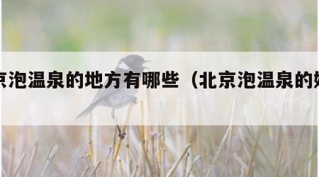 北京泡温泉的地方有哪些（北京泡温泉的好地方）
