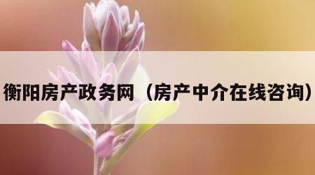衡阳房产政务网（房产中介在线咨询）