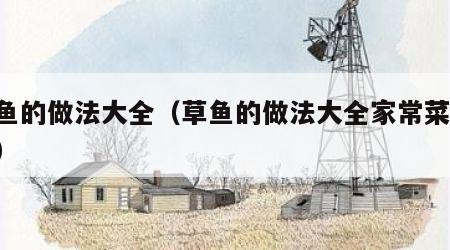 草鱼的做法大全（草鱼的做法大全家常菜 视频）