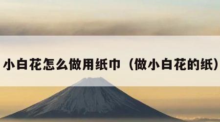 小白花怎么做用纸巾（做小白花的纸）