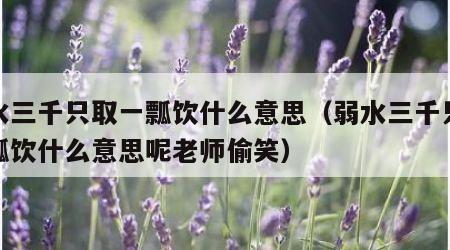 弱水三千只取一瓢饮什么意思（弱水三千只取一瓢饮什么意思呢老师偷笑）