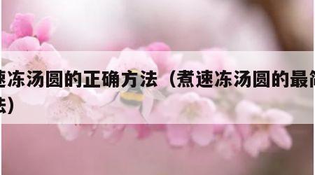 煮速冻汤圆的正确方法（煮速冻汤圆的最简单做法）