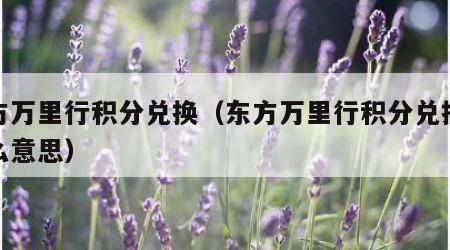 东方万里行积分兑换（东方万里行积分兑换是什么意思）
