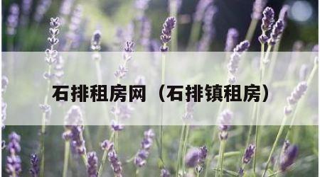 石排租房网（石排镇租房）