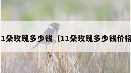 11朵玫瑰多少钱（11朵玫瑰多少钱价格）