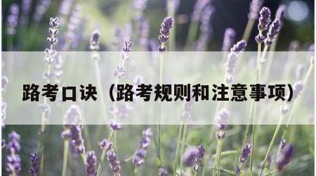 路考口诀（路考规则和注意事项）