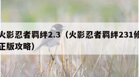 火影忍者羁绊2.3（火影忍者羁绊231修正版攻略）