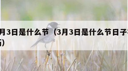 3月3日是什么节（3月3日是什么节日子农历）