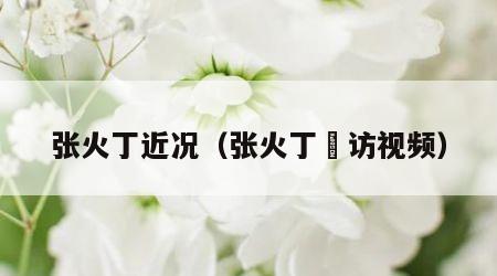 张火丁近况（张火丁釆访视频）
