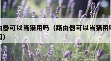 路由器可以当猫用吗（路由器可以当猫用吗安全吗）