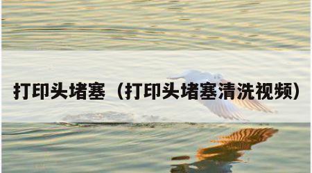 打印头堵塞（打印头堵塞清洗视频）