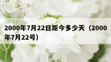 2000年7月22日距今多少天（2000年7月22号）