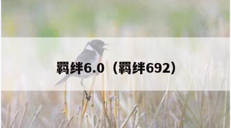 羁绊6.0（羁绊692）
