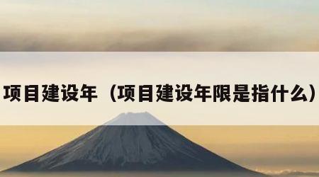 项目建设年（项目建设年限是指什么）