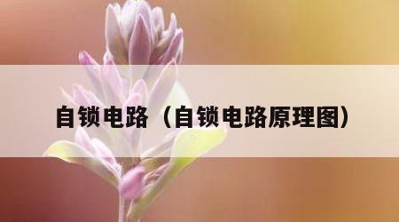 自锁电路（自锁电路原理图）
