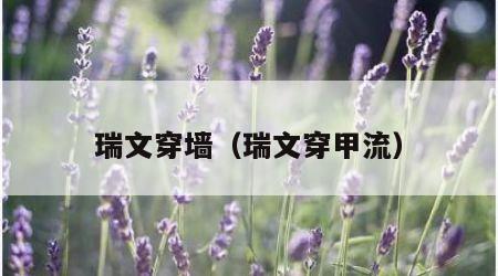 瑞文穿墙（瑞文穿甲流）