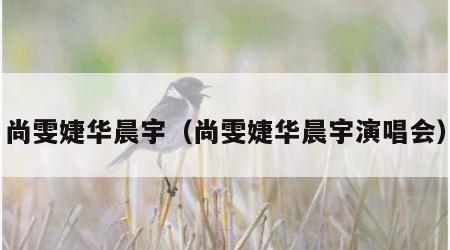 尚雯婕华晨宇（尚雯婕华晨宇演唱会）