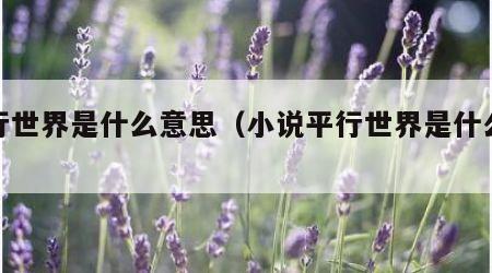 平行世界是什么意思（小说平行世界是什么意思）