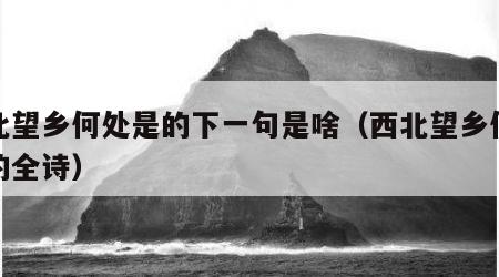 西北望乡何处是的下一句是啥（西北望乡何处是的全诗）