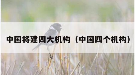 中国将建四大机构（中国四个机构）