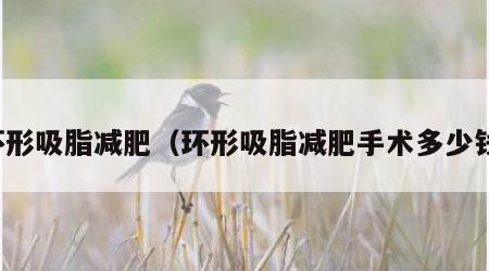 环形吸脂减肥（环形吸脂减肥手术多少钱）