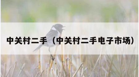 中关村二手（中关村二手电子市场）