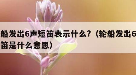 轮船发出6声短笛表示什么?（轮船发出6声短笛是什么意思）