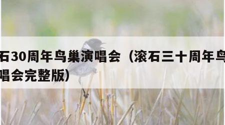 滚石30周年鸟巢演唱会（滚石三十周年鸟巢演唱会完整版）