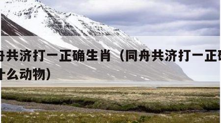 同舟共济打一正确生肖（同舟共济打一正确生肖什么动物）