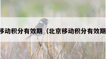移动积分有效期（北京移动积分有效期）