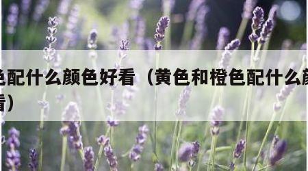 橘色配什么颜色好看（黄色和橙色配什么颜色好看）