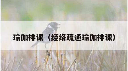 瑜伽排课（经络疏通瑜伽排课）