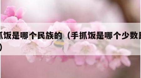 手抓饭是哪个民族的（手抓饭是哪个少数民族的?）