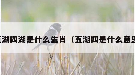 五湖四湖是什么生肖（五湖四是什么意思）