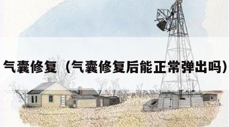 气囊修复（气囊修复后能正常弹出吗）