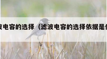 滤波电容的选择（滤波电容的选择依据是什么）