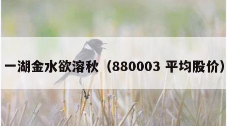一湖金水欲溶秋（880003 平均股价）