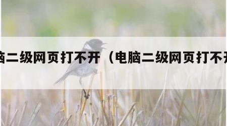 电脑二级网页打不开（电脑二级网页打不开呢）