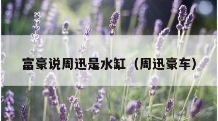 富豪说周迅是水缸（周迅豪车）
