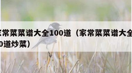 家常菜菜谱大全100道（家常菜菜谱大全100道炒菜）