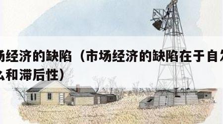 市场经济的缺陷（市场经济的缺陷在于自发性什么和滞后性）