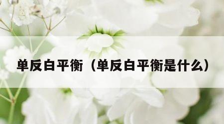 单反白平衡（单反白平衡是什么）