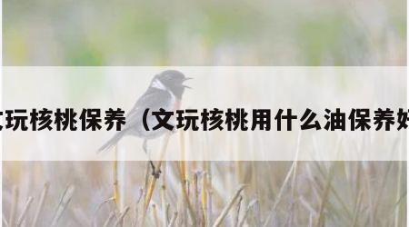 文玩核桃保养（文玩核桃用什么油保养好）