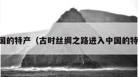 中国的特产（古时丝绸之路进入中国的特产）
