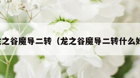 龙之谷魔导二转（龙之谷魔导二转什么好）