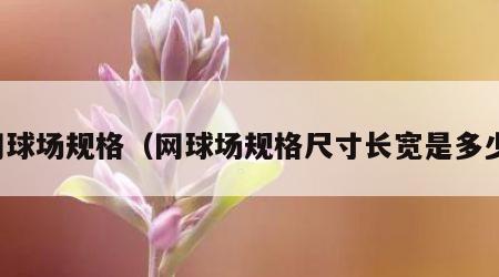 网球场规格（网球场规格尺寸长宽是多少）