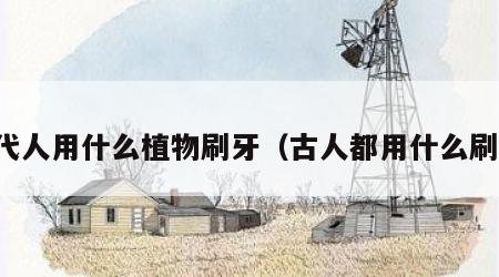 古代人用什么植物刷牙（古人都用什么刷牙）