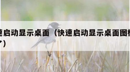 快速启动显示桌面（快速启动显示桌面图标不见了）